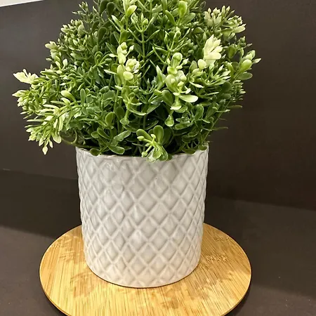 Apartment Lily 10
