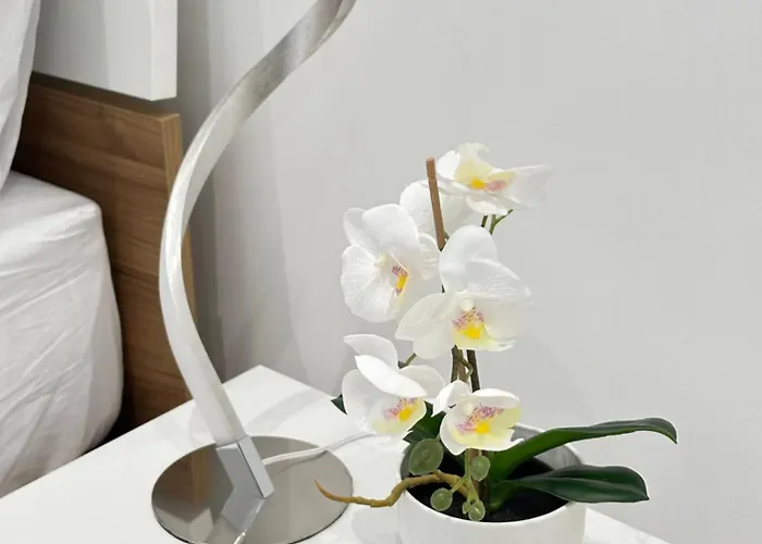 Lily 10 *